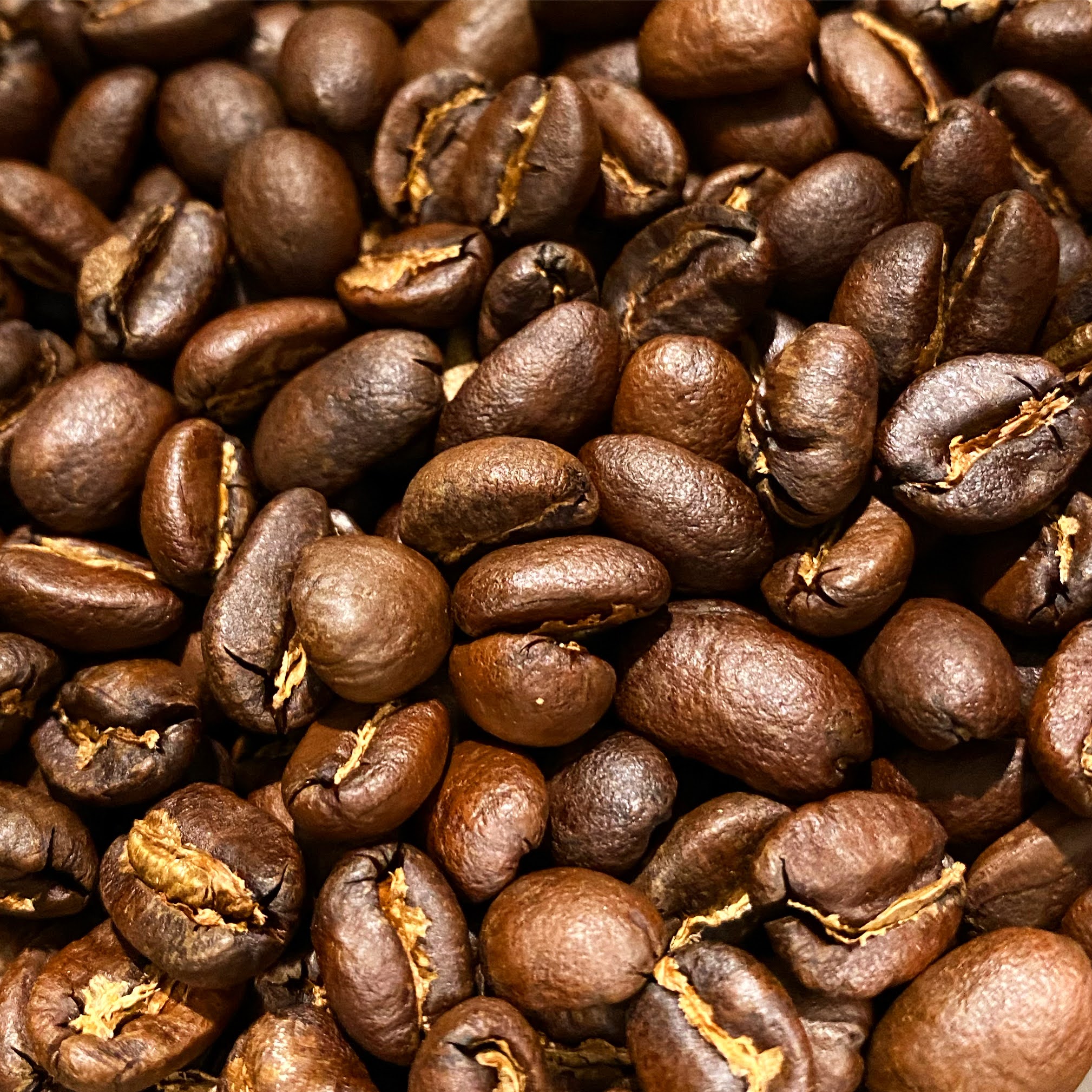 Fresh roasted coffee beans